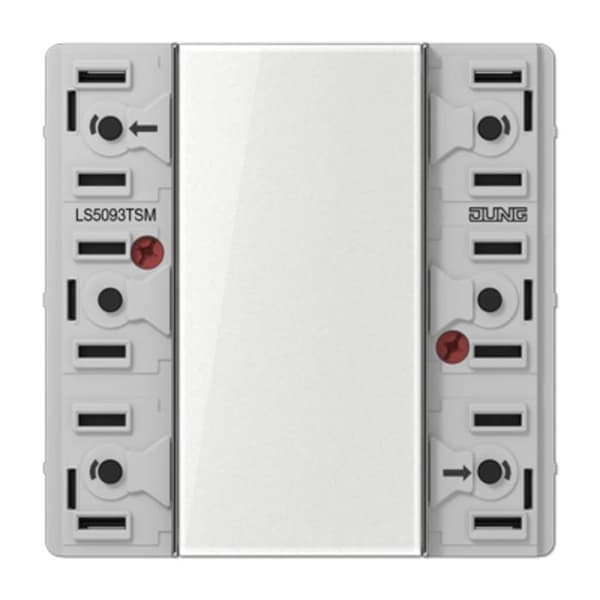 Jung - LS5093TSM - LS 5093 TSM ()