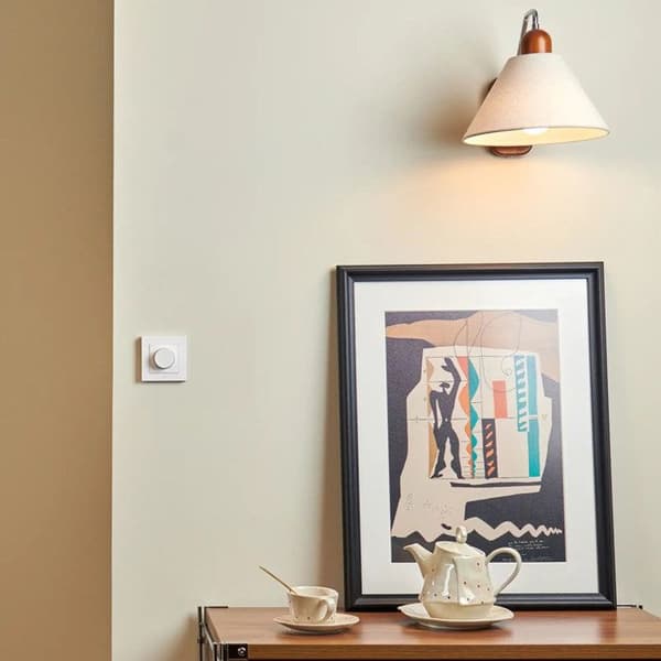 Interrupter Dimmer H2 EU Intelligent Multifunktion Zigbee och Thread Aqara Vit