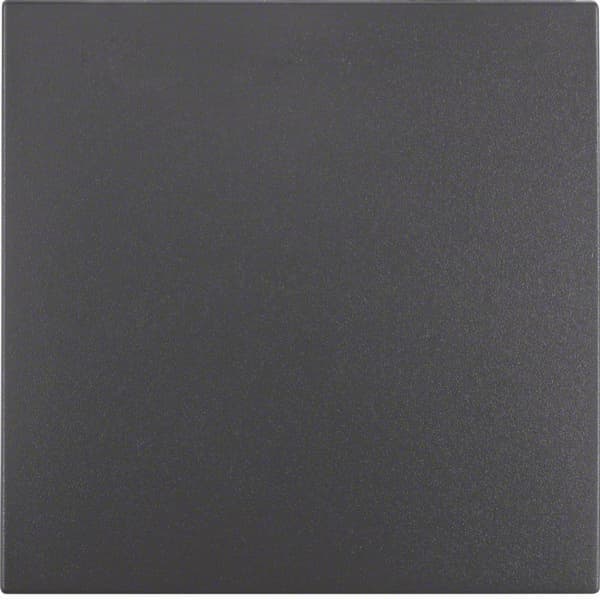 Nøgle til 1-nøgleafbrydere, antracit mat, B.Square/B.3/B.7