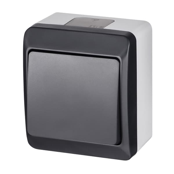 Enpolet/trappeafbryder, grå/antracit IP44 HERMES