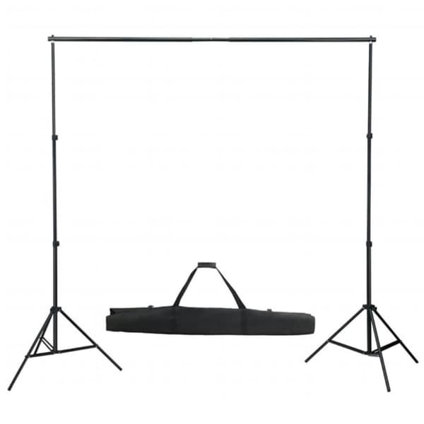 vidaXL teleskopisk baggrundssystem 155-300 cm