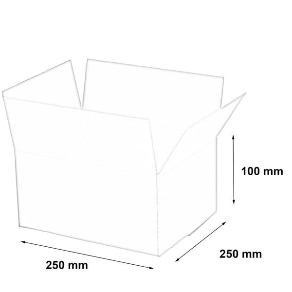 Laatikko 250x200x100mm (XS) 20 kpl