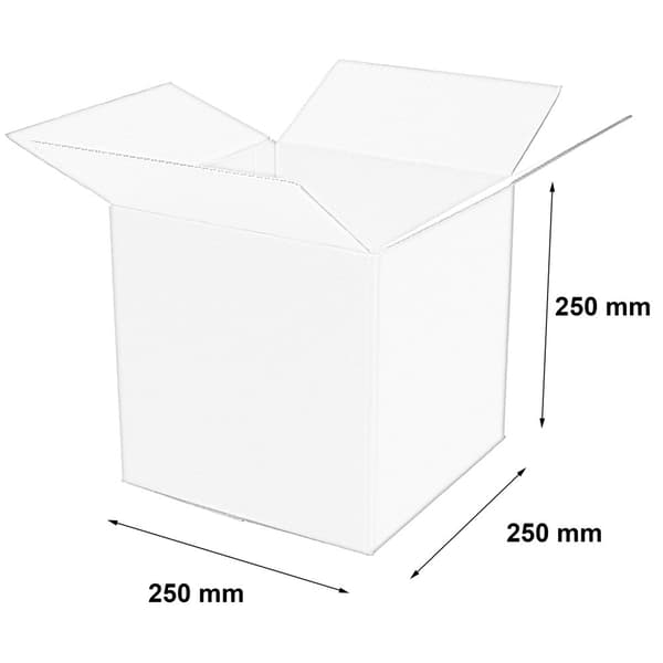 Laatikko 250x250x250mm 50 kpl