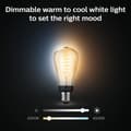 Miniatyrbilde 5 av 11: Philips Hue WA Lyskilde 7W Filament ST64 E27