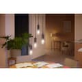Miniatyrbilde 6 av 11: Philips Hue WA Lyskilde 7W Filament ST64 E27