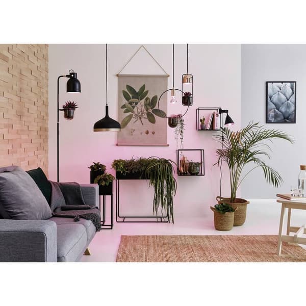 Paulmann LED-plantlampa för odling 230 V E14 4 W Bernstein 1 st