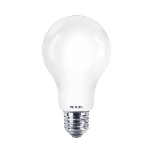 E27 LED-lampa 17,5W 2700K A67
