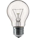 Miniatyrbillede 1 af 2: GLS A70 E27 200W stødsikker pære