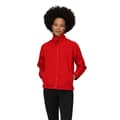 Pikkukuva 3 / 3: Regatta Womens/Ladies Thor III Anti-Pill Fleece Jacket