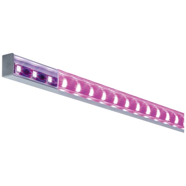 Paulmann 70809 Profil Aluminium (L x B x H) 100 x 2.3 x 1.5 cm 1 st
