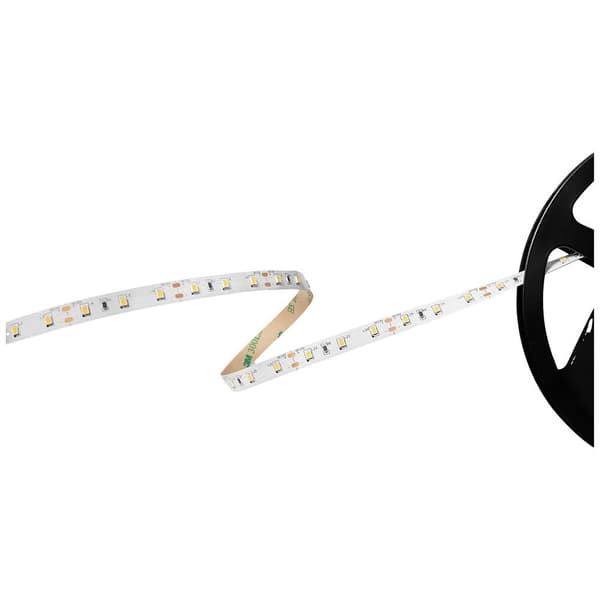 Barthelme Basic 60 51541134 LED-list med öppen kabelände 12 V 5 m Kallvit 1 st