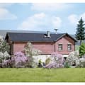 Miniatyrbild 2 av 2: Busch 3585 Buske Vår Vit, Blommig