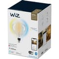 Miniatyrbild 3 av 11: WiZ smartlampa giant globe, E27, klar glas, tunable white - vita ljusnyanser, Wi-Fi, 2700-6500 K, 470 lm, 20 cm