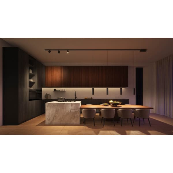 Philips Hue Perifo -smart hänglamp set, White and Color Ambiance, svart