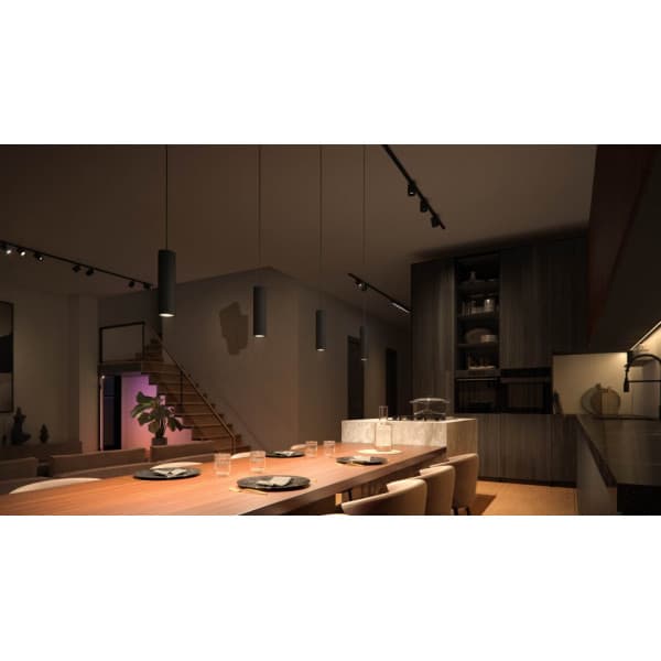 Philips Hue Perifo -smart hänglamp set, White and Color Ambiance, svart