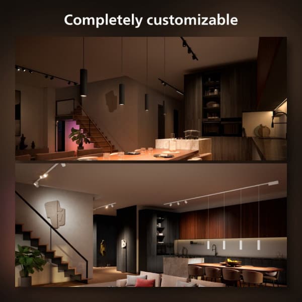 Philips Hue Perifo -smart hänglamp set, White and Color Ambiance, svart