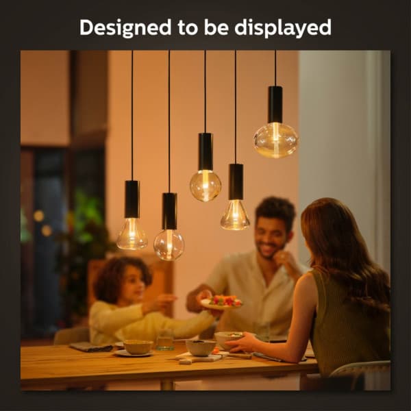 Philips Lightguide Cord - hængende kabel til lampe, sort, E27