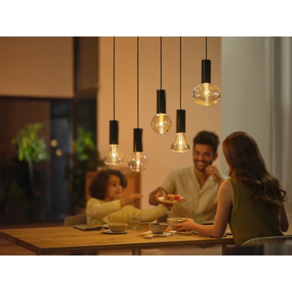 Philips Lightguide Cord - hængende kabel til lampe, sort, E27