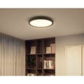 Miniatyrbillede 11 af 11: Philips Hue Aurelle loftlampe, 21 W, 2200-6500 K, rund, sort