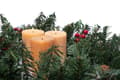 Miniatyrbillede 4 af 8: JULEKRANS LED 60CM 311427