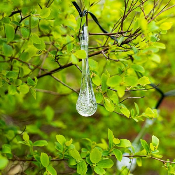 Solar havelamper, dråber, 6,5 m, 30 LED, varm hvid