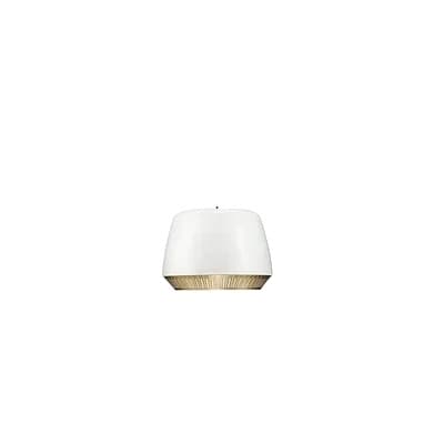 Nordisk Moderne LED Pendellampe, 30 cm Diameter, Dæmpbare Muligheder,Hvid-30cm, Hvidt lys
