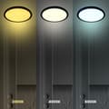 Miniatyrbillede 4 af 9: MAQ 50W 3CCT Sort Loftslampe