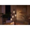 Miniatyrbild 5 av 6: Philips Hue White Ambiance, E27-filament G93 Globe Smart LED-lampa, Bluetooth, Fungerar med Alexa, Google Home och Homekit