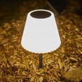 Miniatyrbillede 3 af 6: i 1 solcelledrevet bordlampe til plantning eller placering - LUMISKY - BOUFFANT - H62 cm - Dæmpbar hvid LED