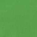 Pikkukuva 2 / 8: Hama 00021158 Hintergrundbildschirm Green Baumwolle (00021158)