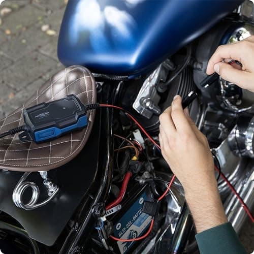 ANSMANN Intelligent 5-trins oplader 6V 12V / 1A med LED-display til blybatterier til biler, motorcykler og varebiler