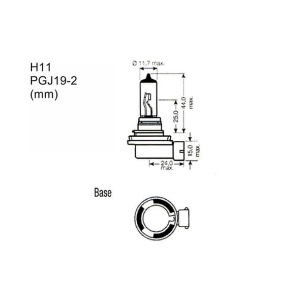Pære til køretøj M-Tech PTZSW11-DUO 12 V Bagerste del Halogen 55 W