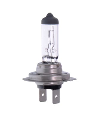 MAXGEAR H7-Glödlampa 12V/55W PX26D