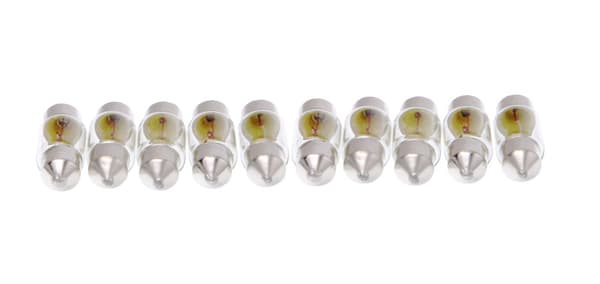 MAXGEAR RØRPÆRE 12V/10W 11X28MM SÆT MED 10 STK.
