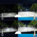 Miniatyrbild 8 av 9: LED-filament D2S D2R XSTORM P&P CANBUS 25000LM 70W