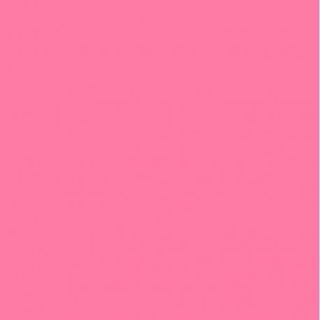 CATRICE PLUMP UP BRILLO DE LABIOS VOLUMINIZADOR 050 BRA VIBRATIONER