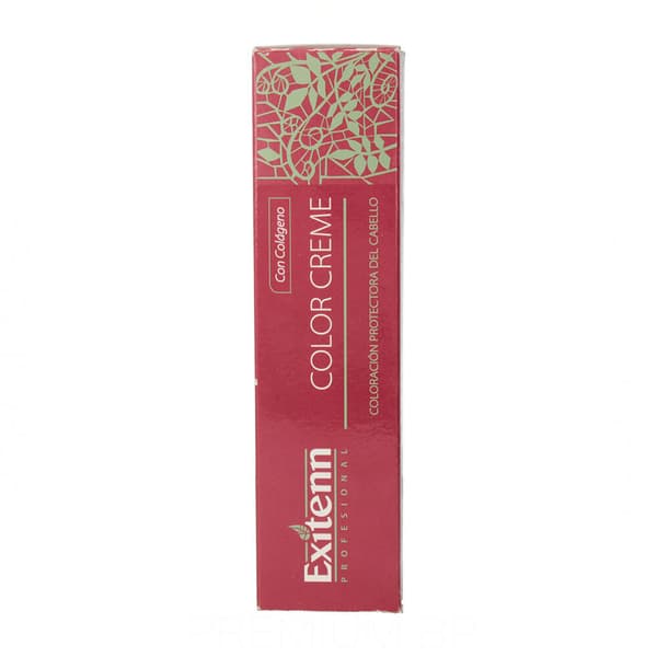 Permanent Hårfarge Exitenn Color Creme Nº 12/0.22 (60 ml)