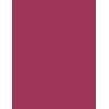 Max Factor 4g Color Elixir, 110 Rich Raspberry, Läppstift