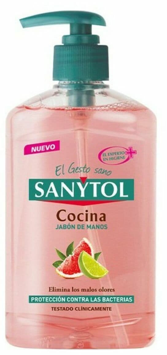 Hand Soap Dispenser Antibacterias Kitchen Sanytol (250 ml)