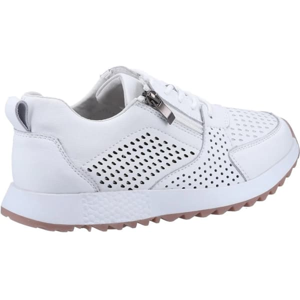 Fleet & Foster Womens/Ladies June Suede Trainers