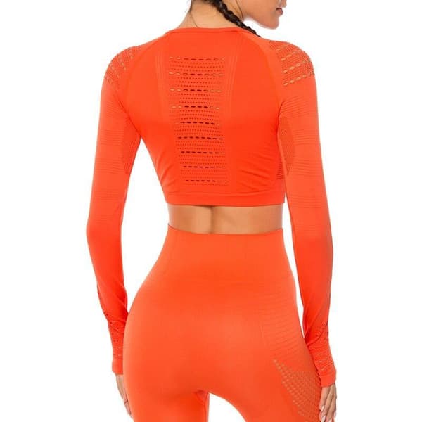 Vin röd Crop Top seamless med långa armar.