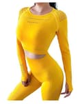 Miniatyrbild 4 av 5: Vin röd Crop Top seamless med långa armar.