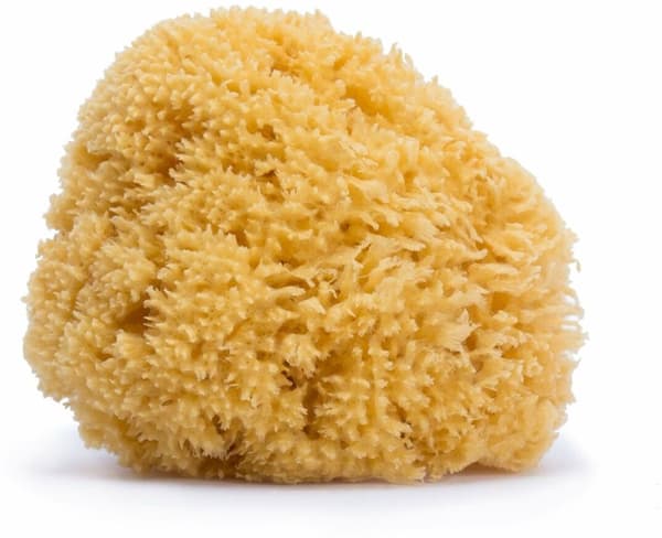 Body Sponge Suavinex Large Natural