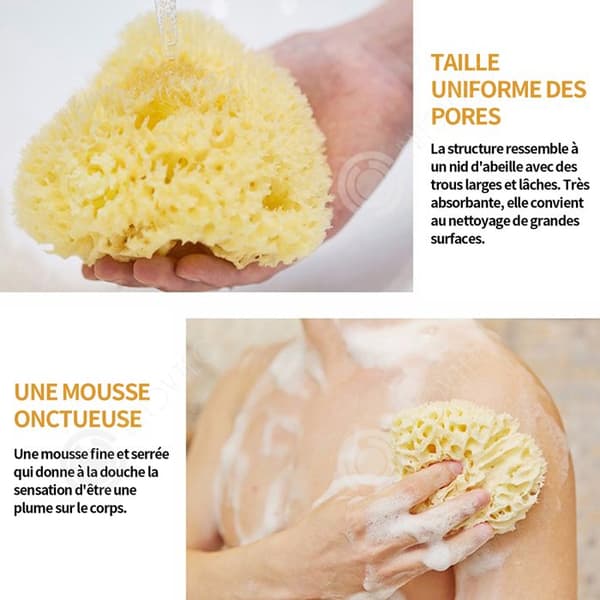 INN Bath Svamp 10cm Ekologisk Naturlig Havssvamp Stor Honeycomb Duschsvamp Högkvalitativ hållbar Badexfoliering