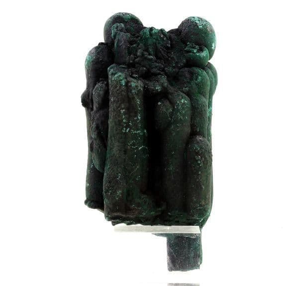 Malakitstalaktit - ABIJOUX - 7425,5 ct - Grön - Katanga - Äkthetscertifikat