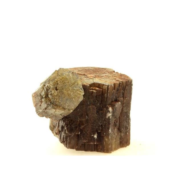 Stenar och mineraler - ABIJOUX - Aragonit - 381,5 ct - Molina de Aragón, Guadalajara, Spanien