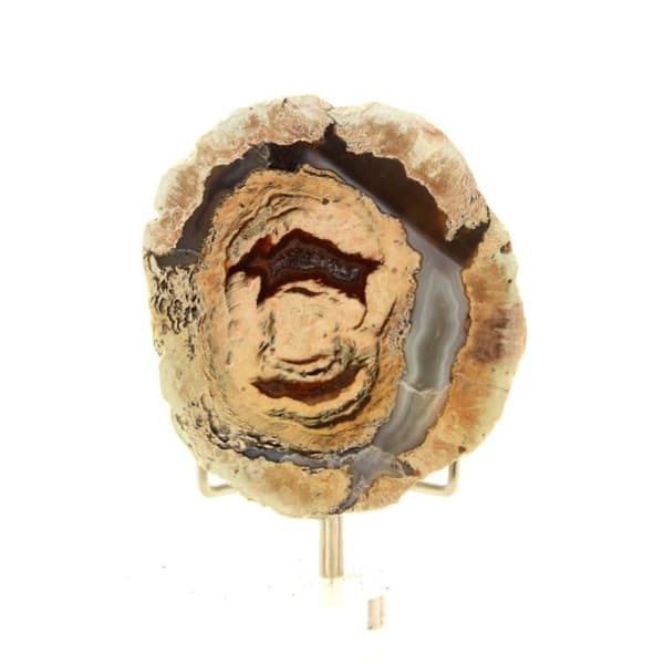 Stenar och mineraler - ABIJOUX - Litofys - 271,5 ct - Esterel Massif, Var, Frankrike