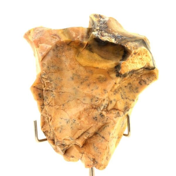 Silex med dendriter - ABIJOUX - La Borde - 515.0 ct - Äkthetsintyg - Grå