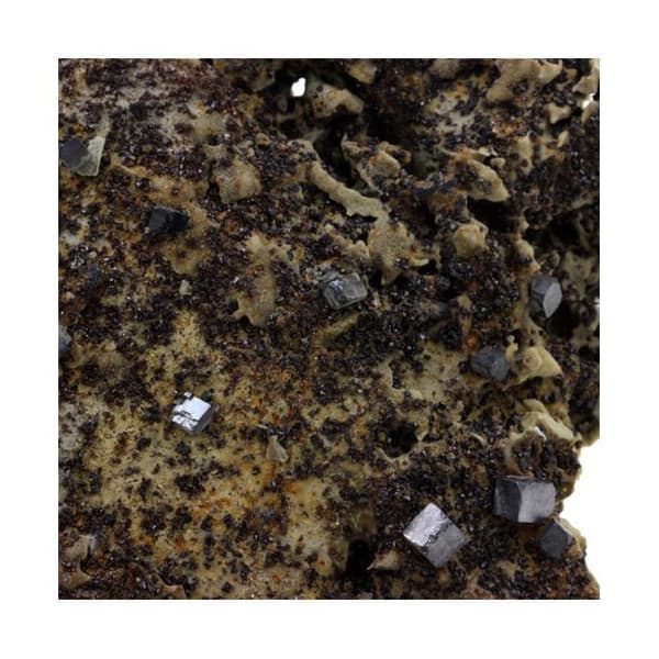 Stenar och Mineraler - ABIJOUX - Galen + Sphalerit - Tri-State Mining District, USA