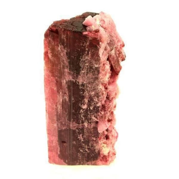 Turmalin Rubellite - ABIJOUX - 328,0 ct - Cruzeiro-gruvan - Äkthetsintyg - Rosa